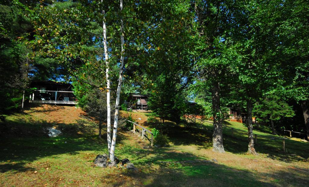 The Pines Cottage Resort Oxtongue Lake Ngoại thất bức ảnh