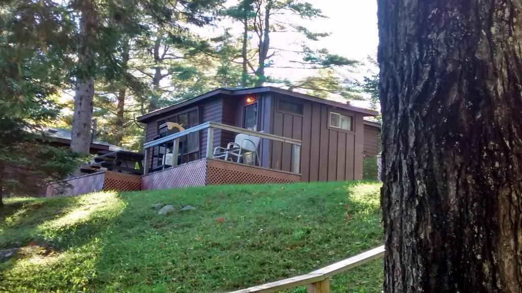 The Pines Cottage Resort Oxtongue Lake Phòng bức ảnh